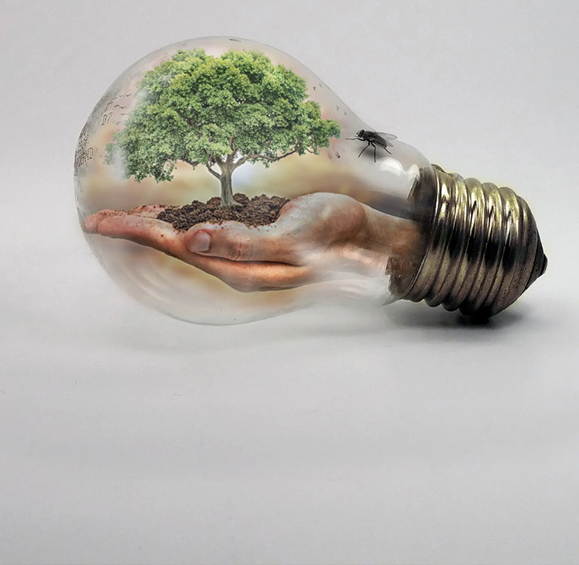 Sustainability